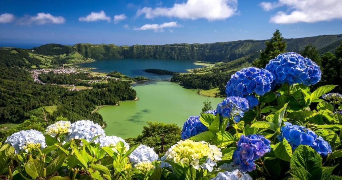 Barrocas Villas Azores Sao Roque  Ngoại thất bức ảnh
